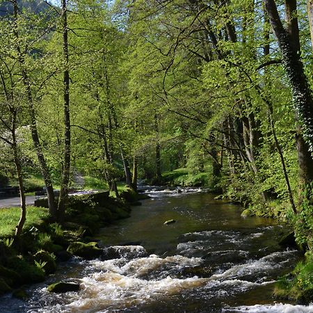 Wildbad Luft Apartment Bad Wildbad Bagian luar foto