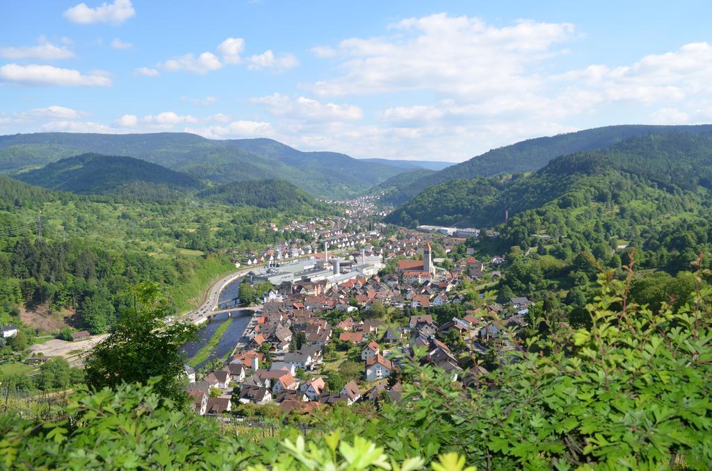 Wildbad Luft Apartment Bad Wildbad Bagian luar foto